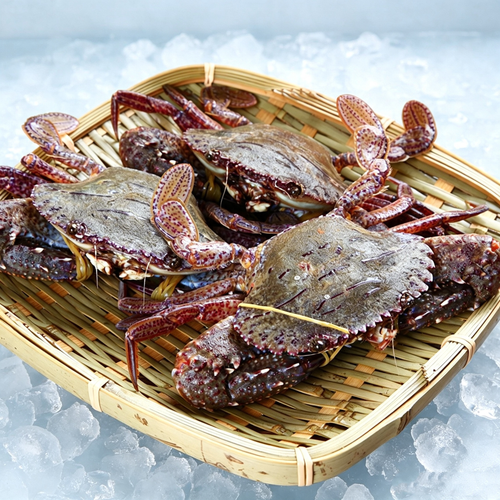 Frozen Wild Sea Swimming Crab