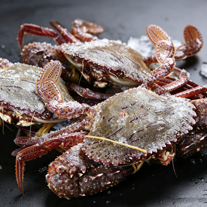 Frozen Wild Sea Swimming Crab